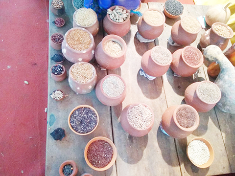 23rd Regional Women Farmers Conference - 2021