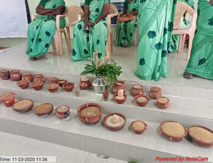 Bio Diversity Festival