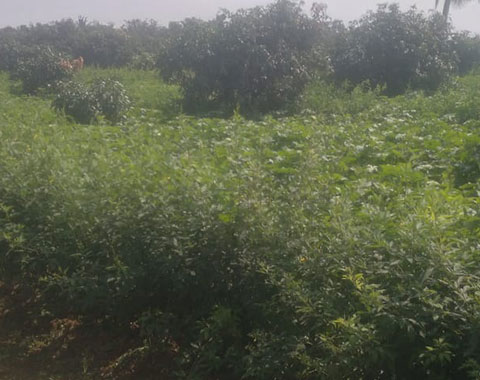 Exposure Visit -2022