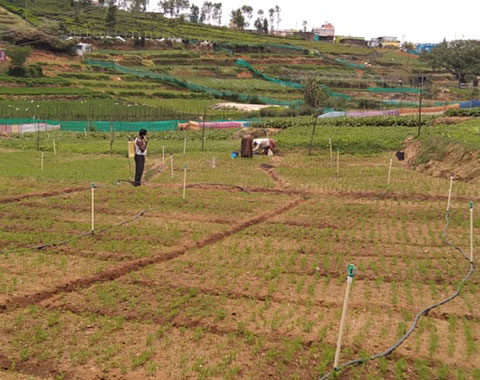 Food Security - Collective Farming 2022