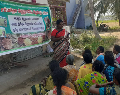 IYM -Millet awareness campaign 2023