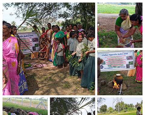 IYM -Millet awareness campaign 2023