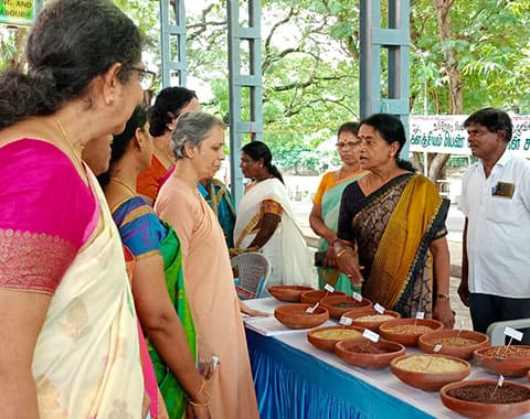 Millet Exhibition at Stella Mary’s College 21st October 2022