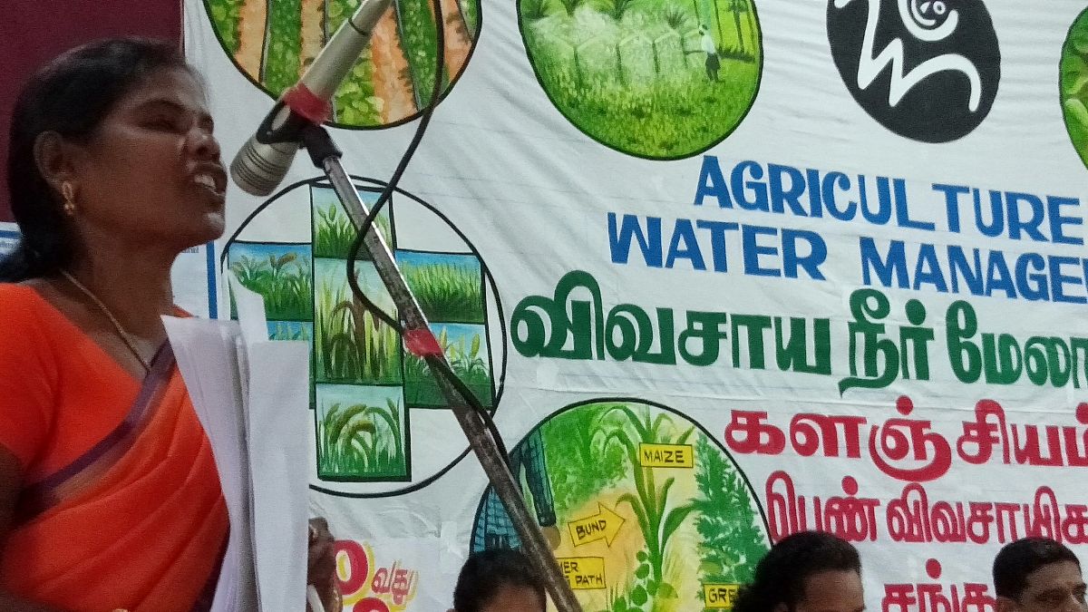 Millet Sister's Meet