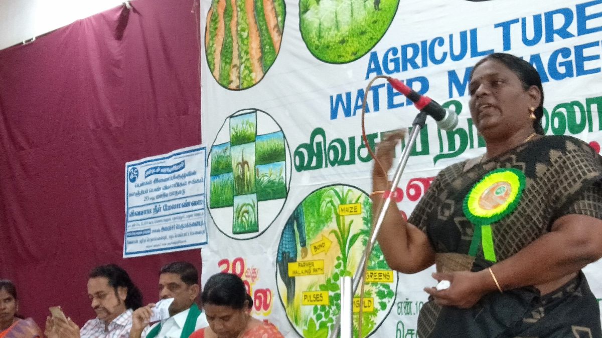 Millet Sister's Meet