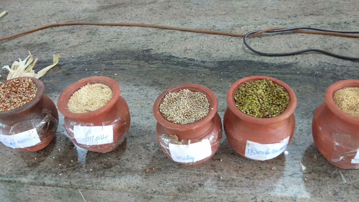 Millet Sister's Meet