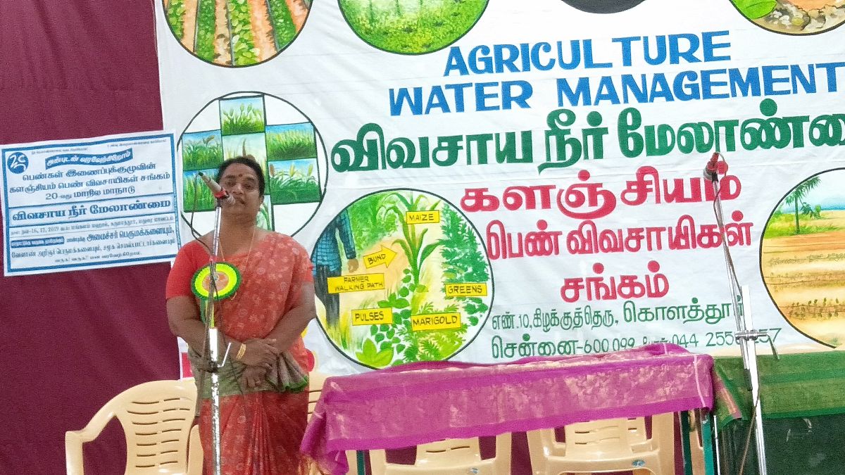 Millet Sister's Meet