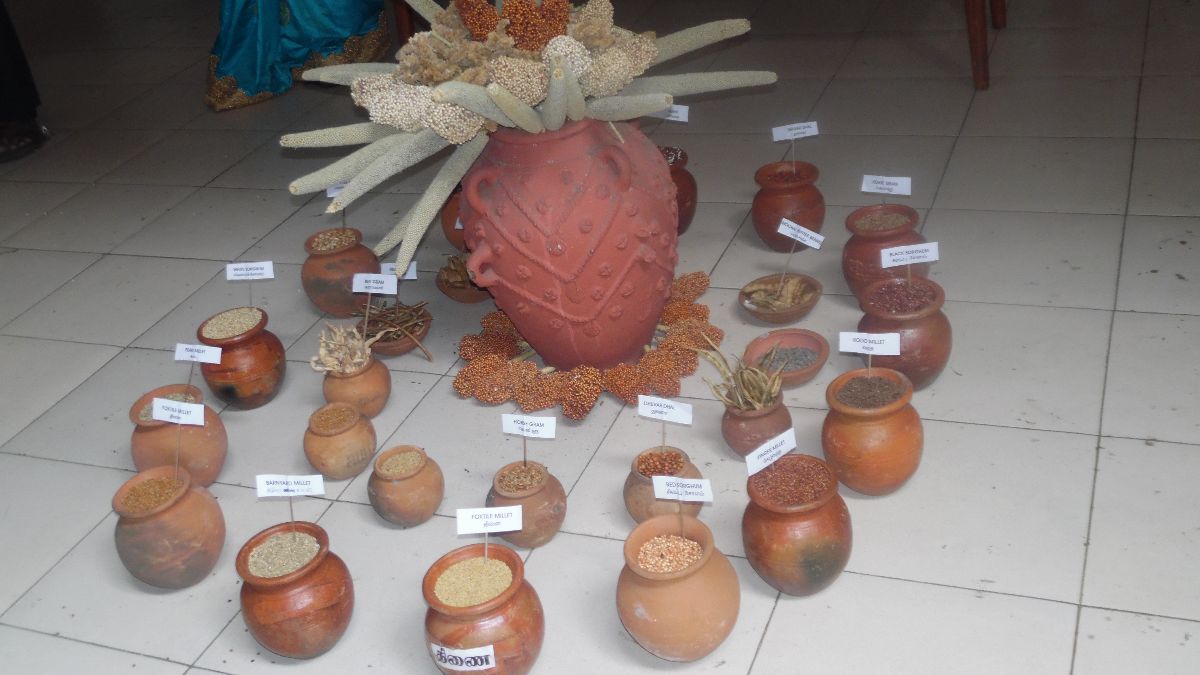 Millet Year Festival