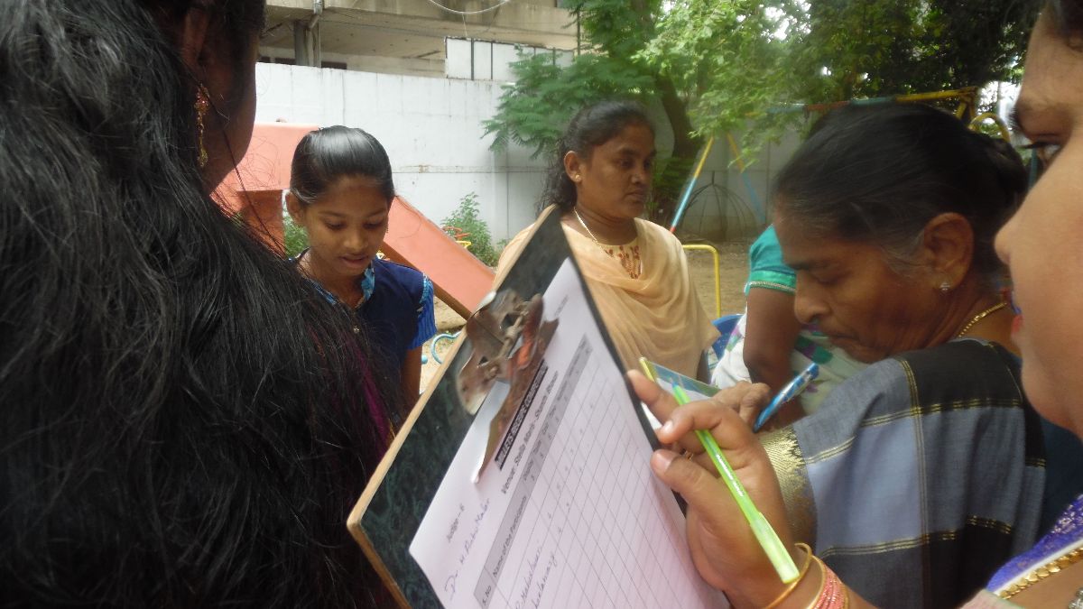 Millet Year Festival