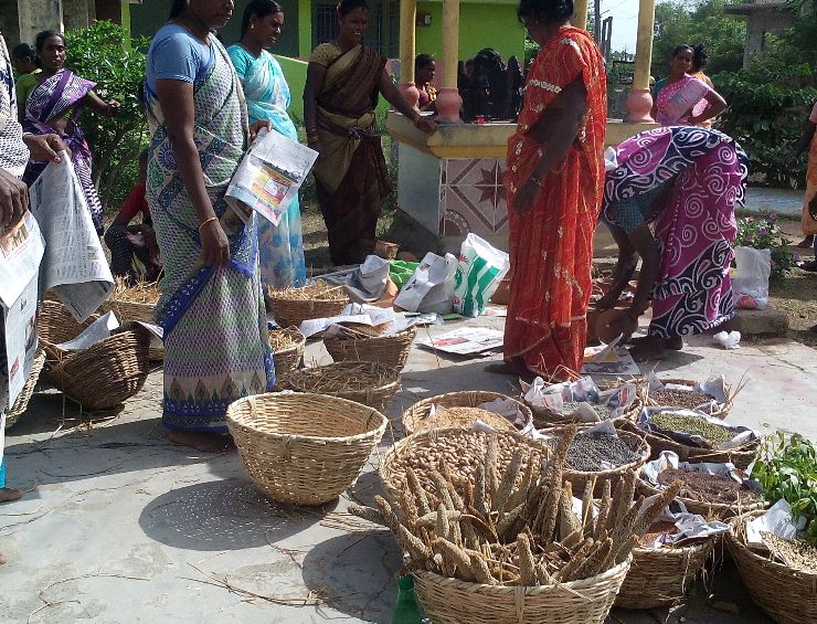 Seed Exchange Mela